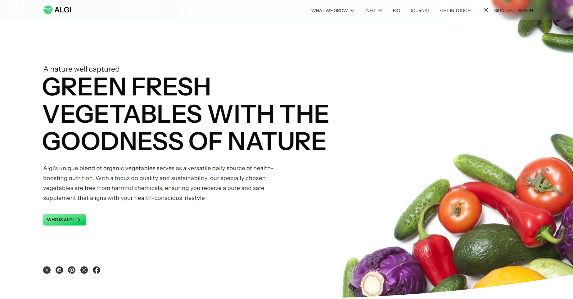 algi agriculture